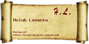 Holub Levente névjegykártya